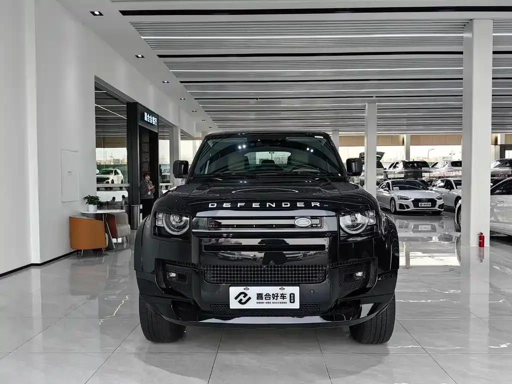 Land Rover Defender 2021 из CN, фото 5