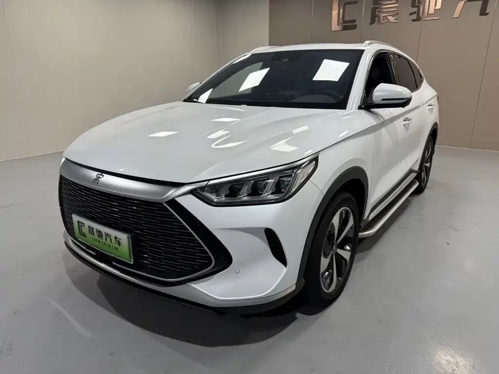 BYD PLUS New Energy 2022 из CN, фото 1