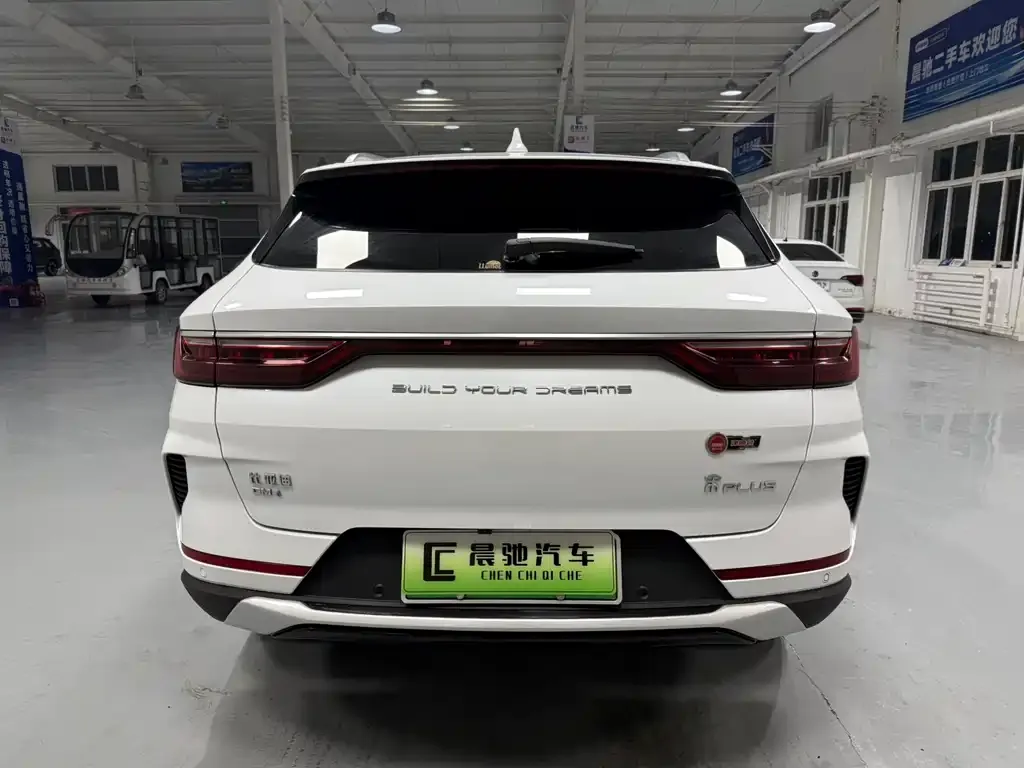 BYD PLUS New Energy 2022 из CN, фото 5