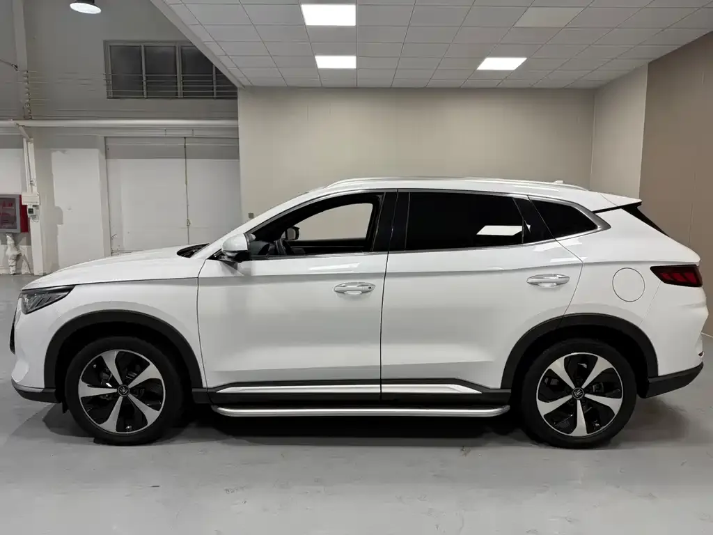 BYD PLUS New Energy 2022 из CN, фото 8