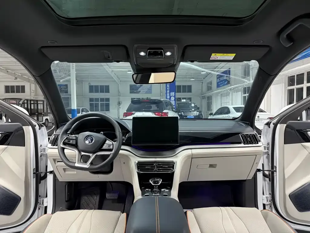 BYD PLUS New Energy 2022 из CN, фото 3