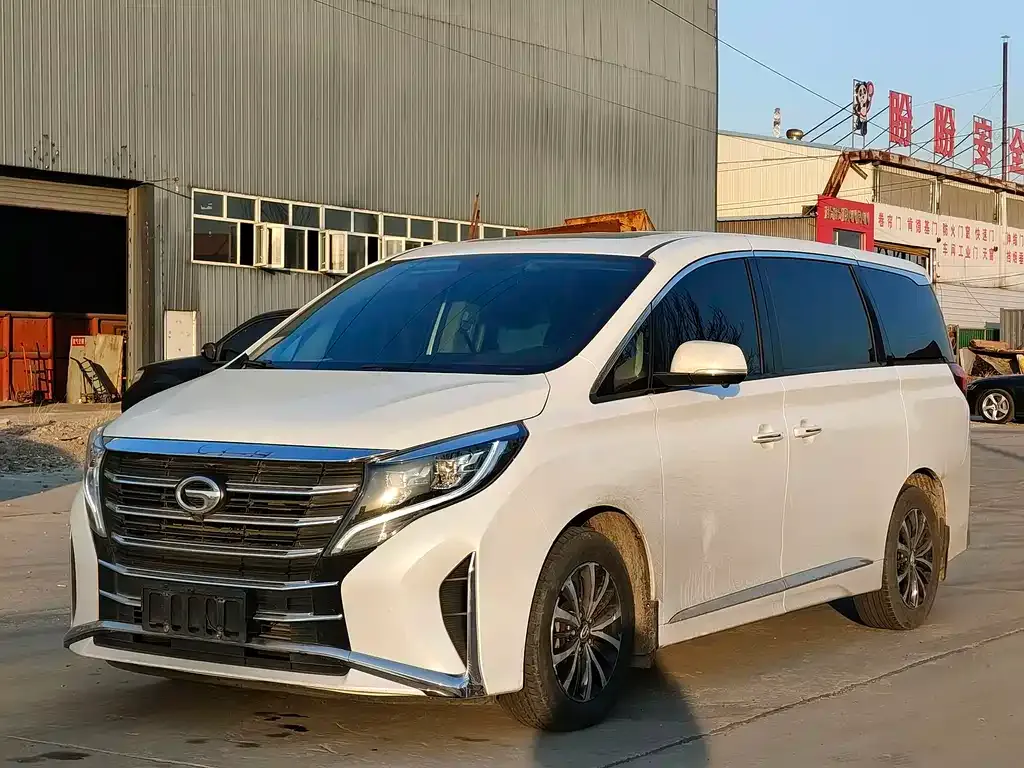GAC Motor Trumpchi M8 2021 из CN, фото 9