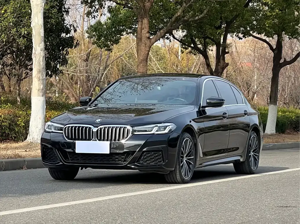 BMW 5 Series 2022 из CN, фото 1