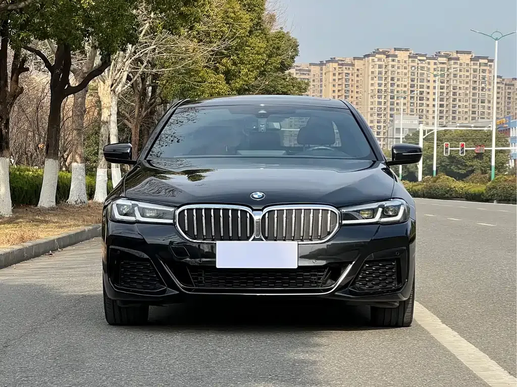 BMW 5 Series 2022 из CN, фото 8