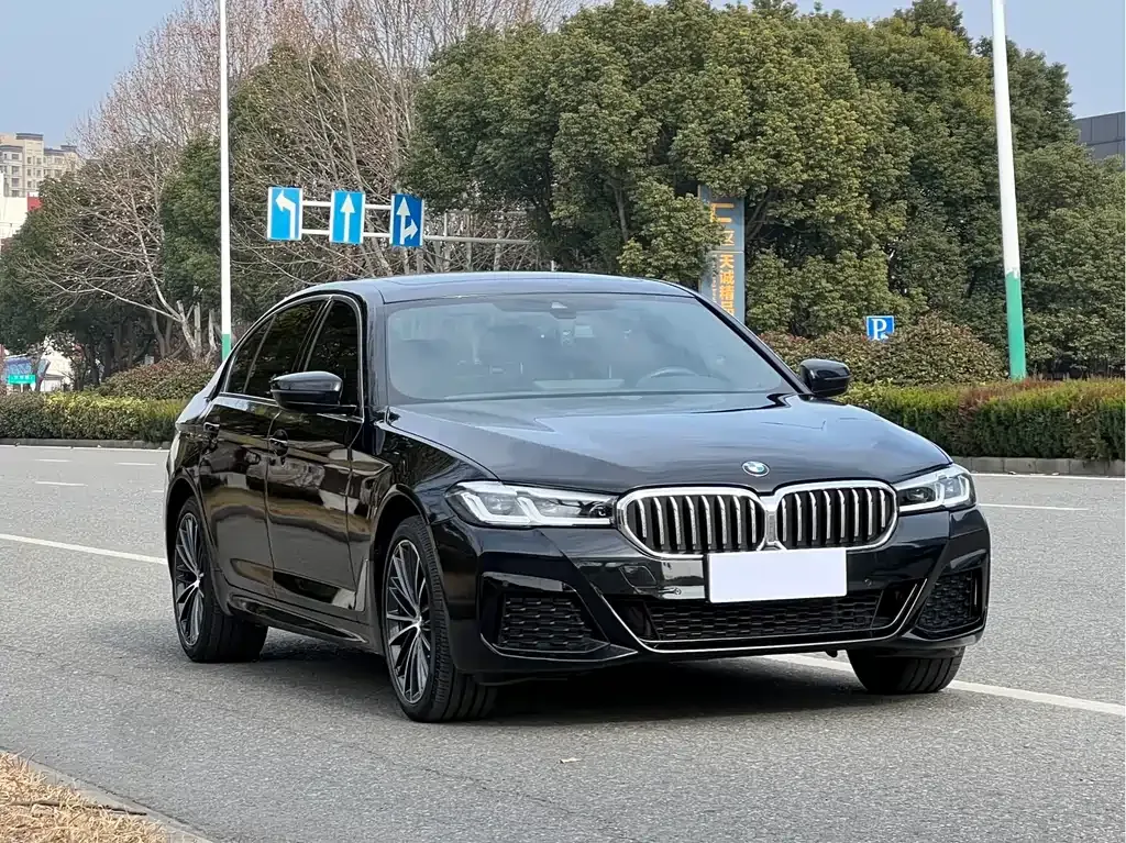 BMW 5 Series 2022 из CN, фото 2