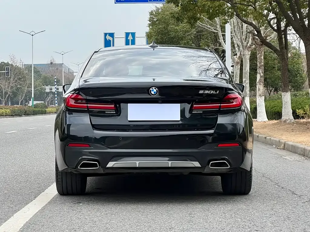 BMW 5 Series 2022 из CN, фото 6