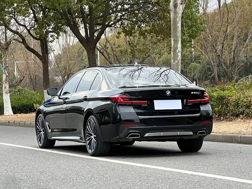 BMW 5 Series 2022 из CN, фото 10