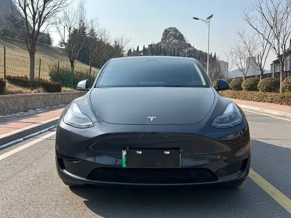 Tesla Model Y 2024 из CN, фото 1