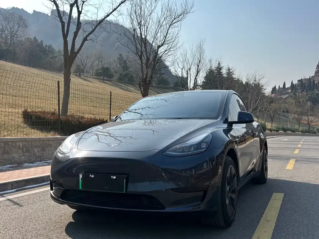 Tesla Model Y 2024 из CN, фото 10