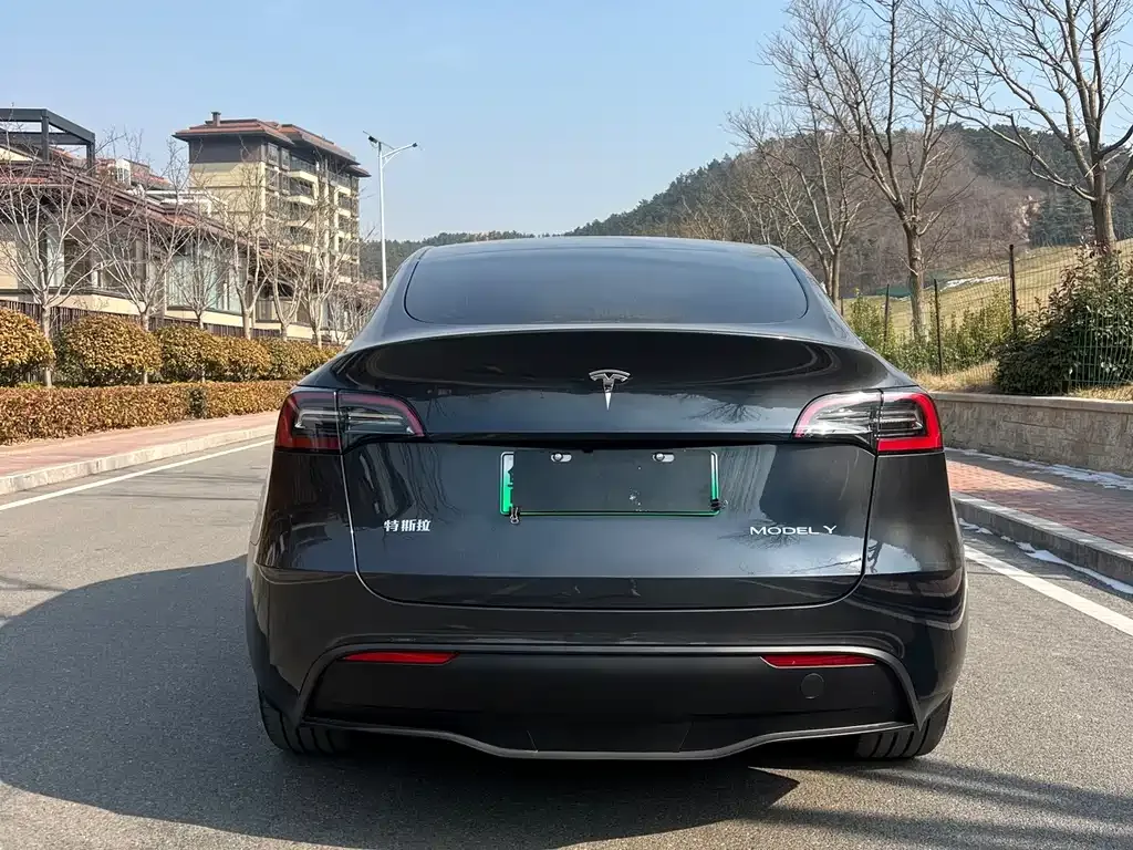 Tesla Model Y 2024 из CN, фото 9