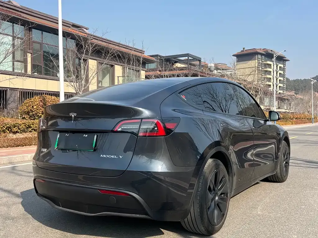 Tesla Model Y 2024 из CN, фото 6