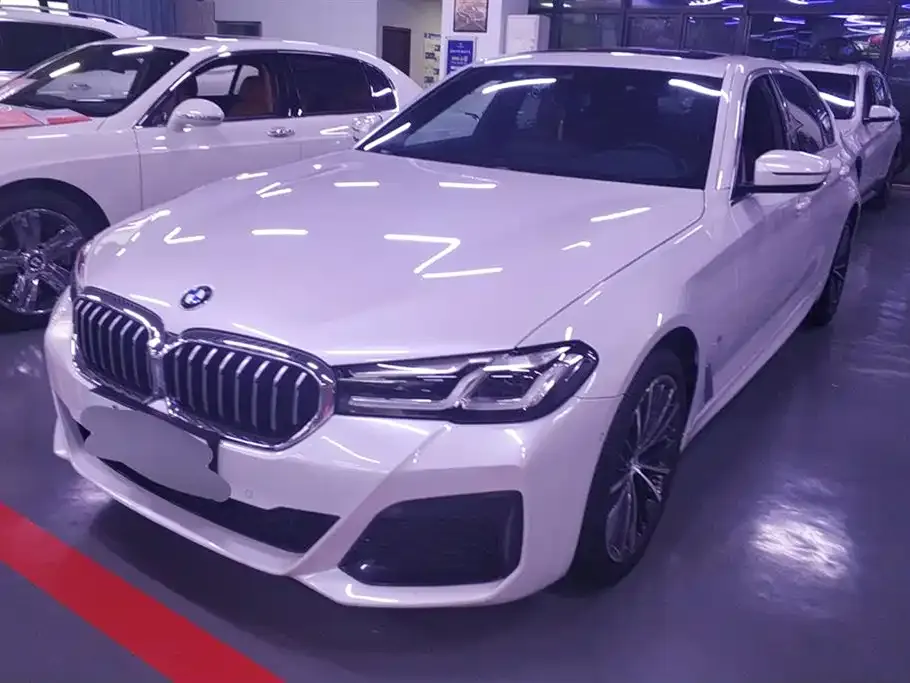 BMW 5 Series 2021 из CN, фото 1