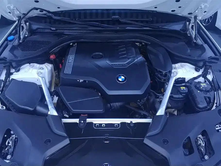 BMW 5 Series 2021 из CN, фото 8