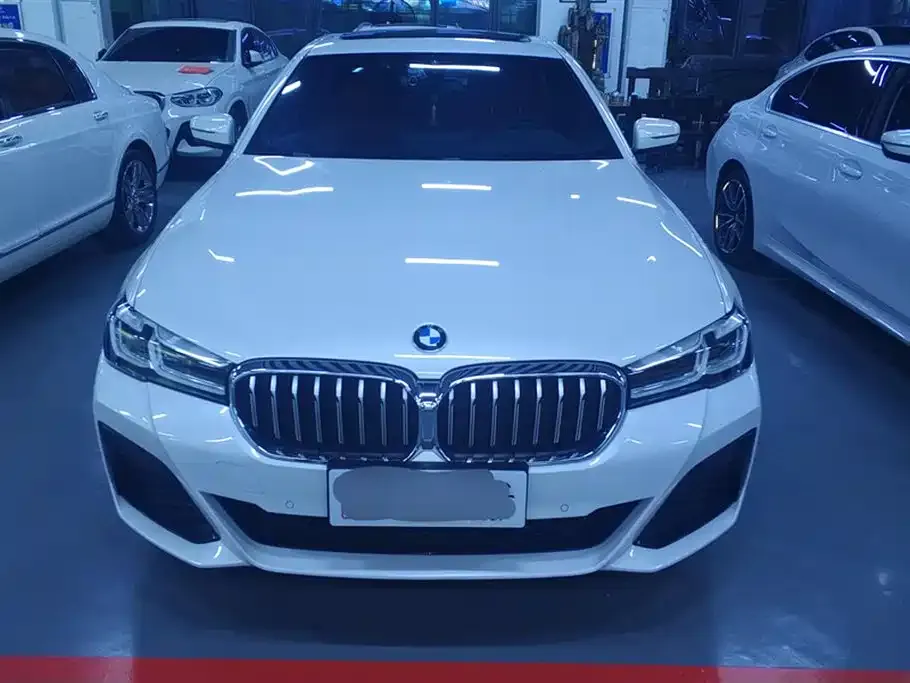 BMW 5 Series 2021 из CN, фото 5