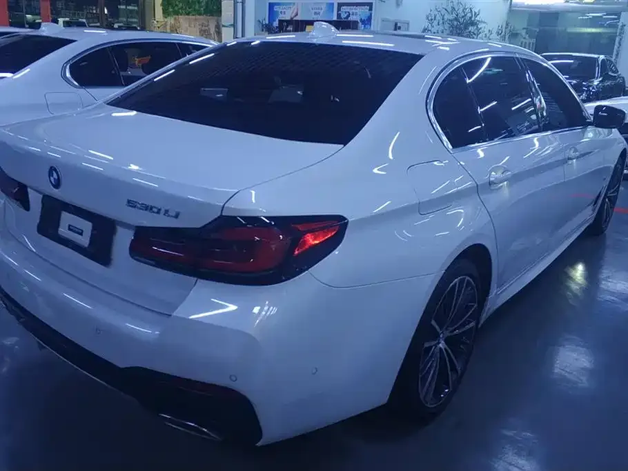 BMW 5 Series 2021 из CN, фото 9