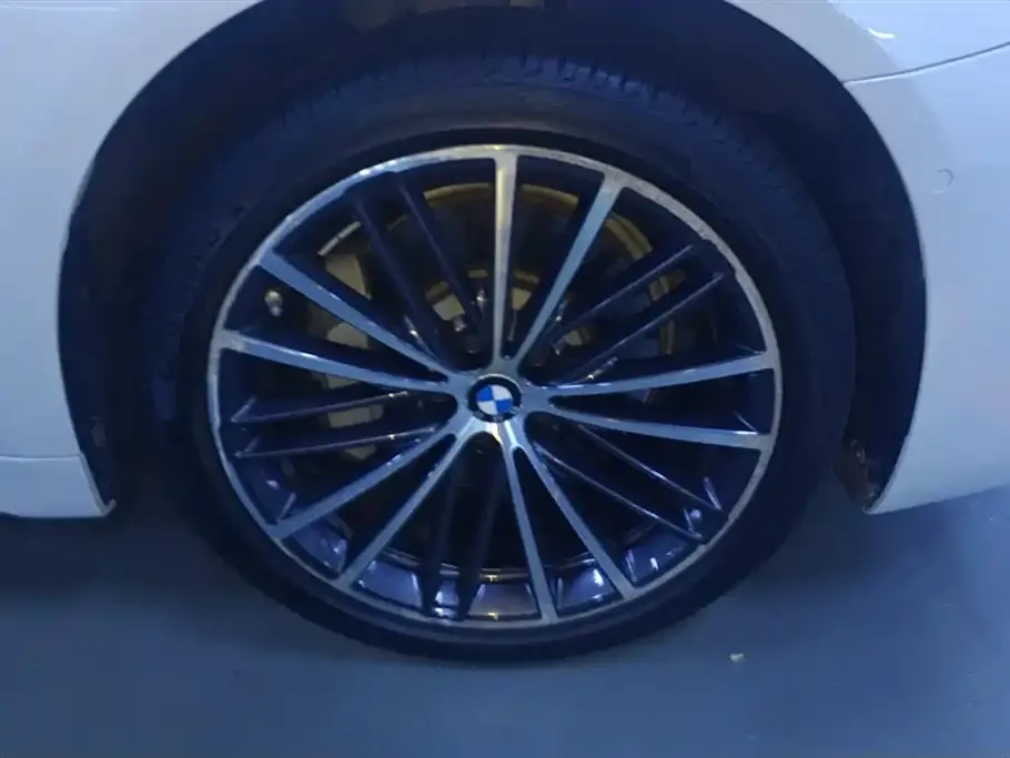 BMW 5 Series 2021 из CN, фото 3