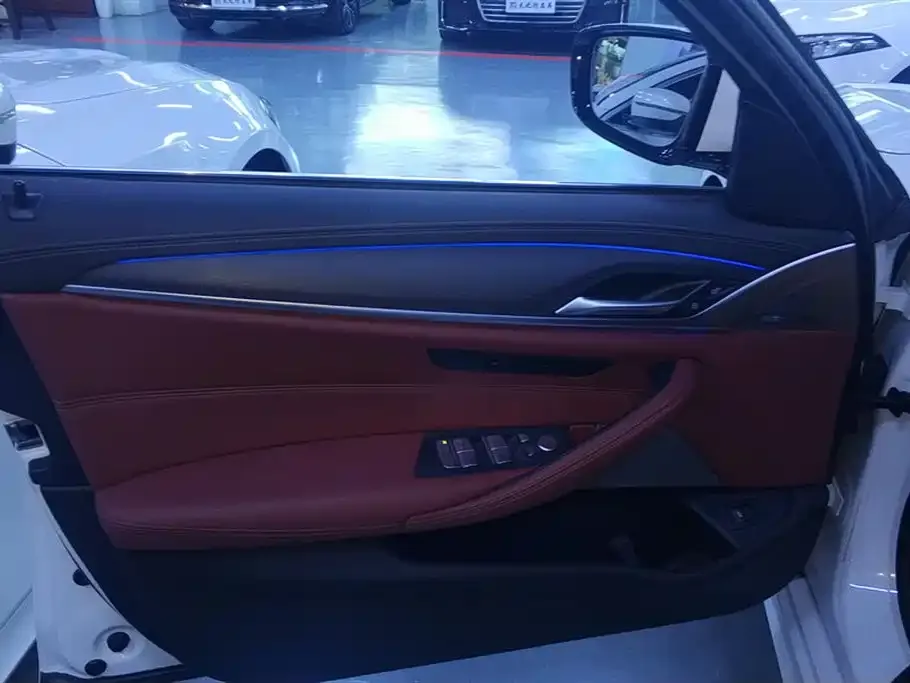 BMW 5 Series 2021 из CN, фото 4