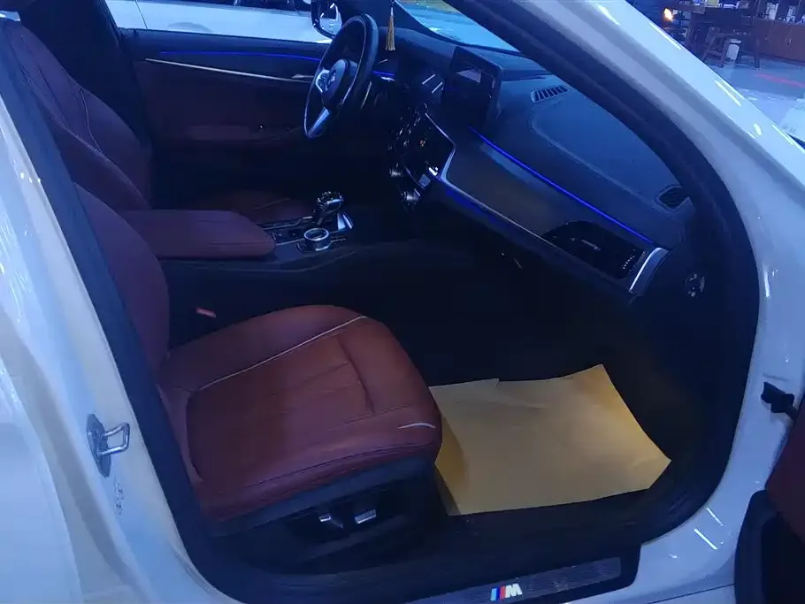 BMW 5 Series 2021 из CN, фото 10