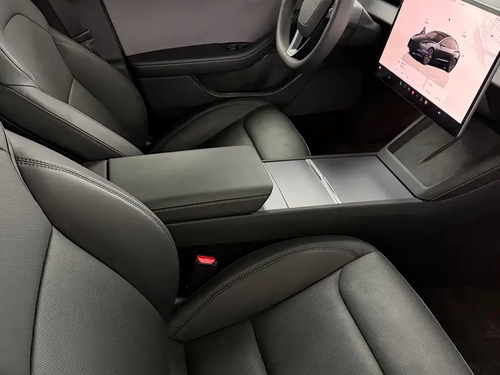 Tesla Model 3 2025 из CN, фото 5