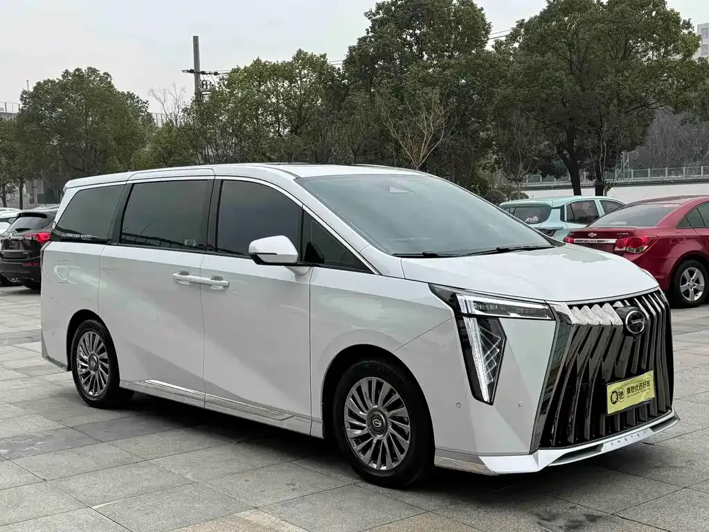 GAC Motor Trumpchi M8 2024 из CN, фото 9