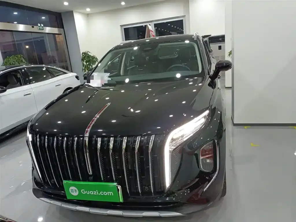 Hongqi HS7 PHEV 2024 из CN, фото 5