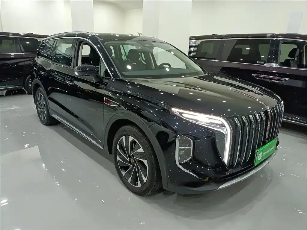 Hongqi HS7 PHEV 2024 из CN, фото 7