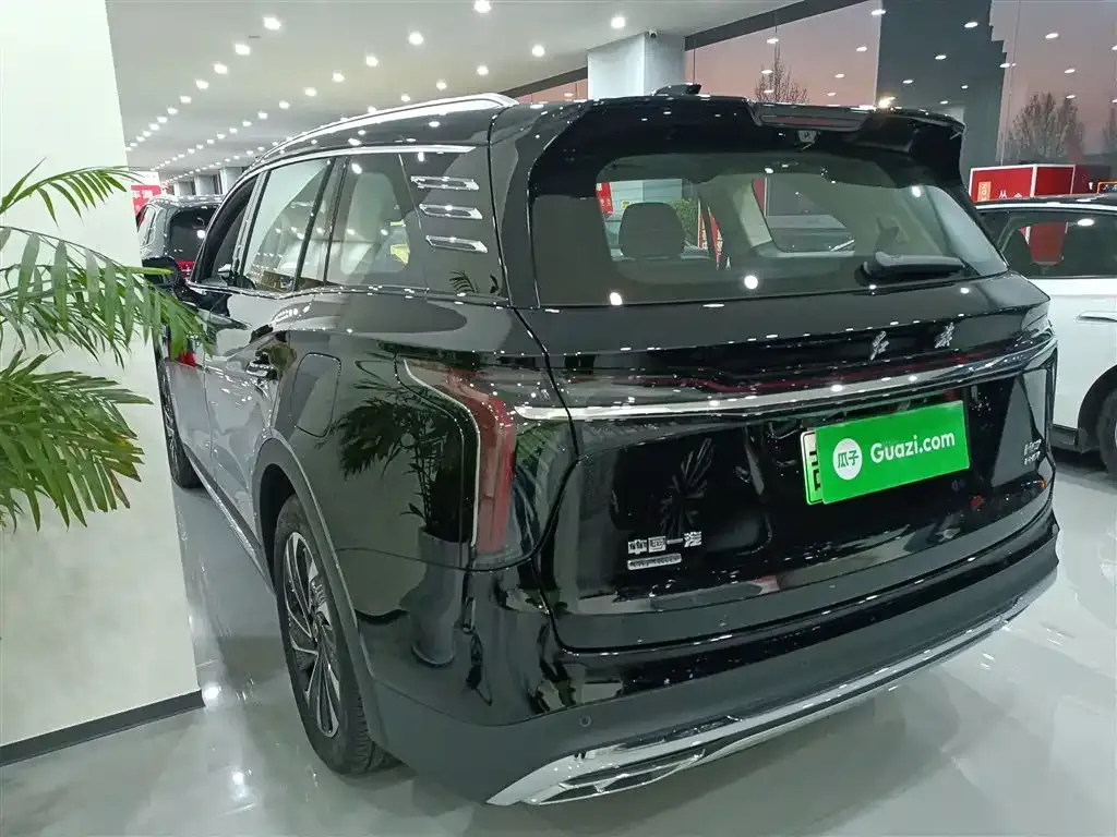 Hongqi HS7 PHEV 2024 из CN, фото 4