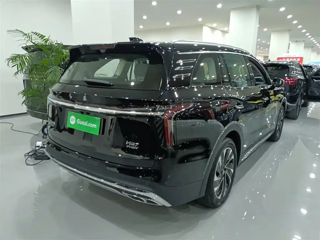 Hongqi HS7 PHEV 2024 из CN, фото 9