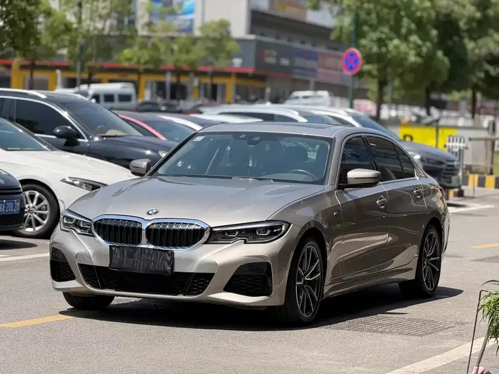 BMW 3 Series 2021 из CN, фото 6