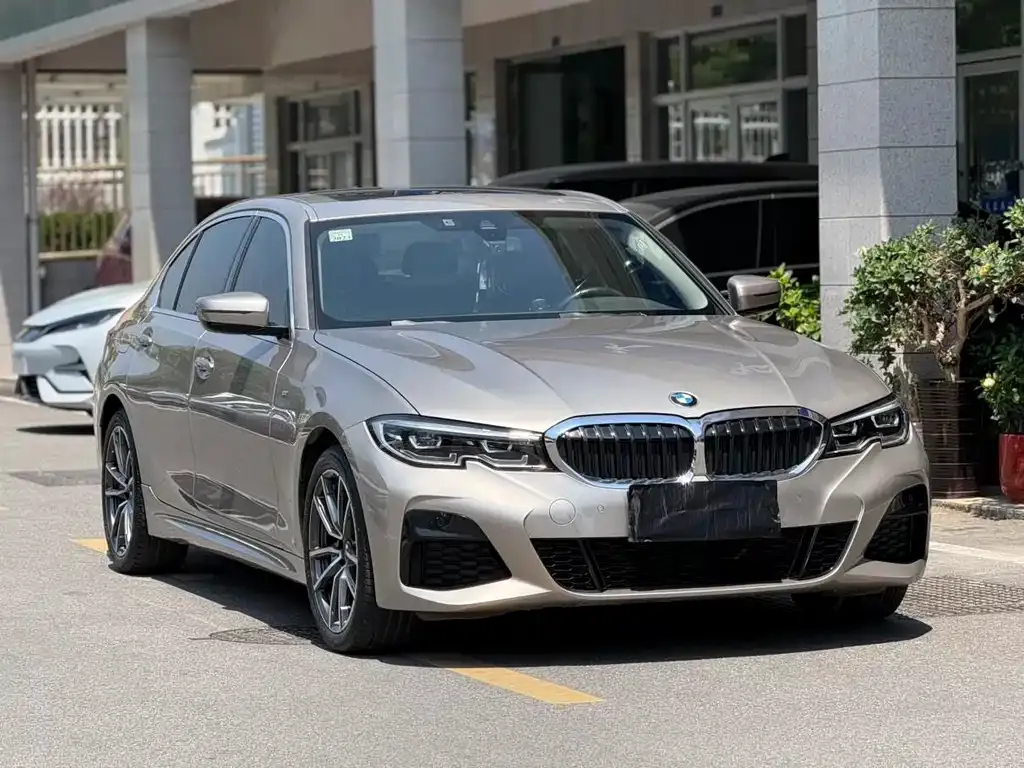 BMW 3 Series 2021 из CN, фото 9