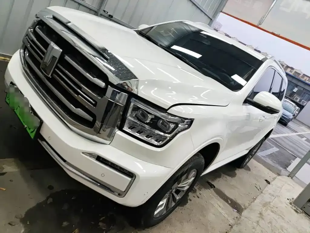 Tank 500 New Energy 2024 из CN, фото 1