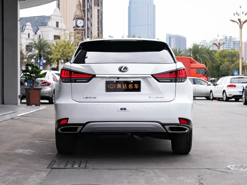 Lexus RX 2021 из CN, фото 9