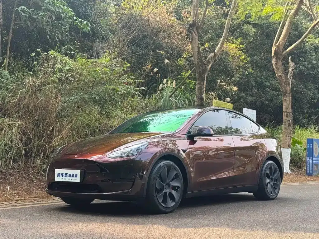 Tesla Model Y 2022 из CN, фото 1