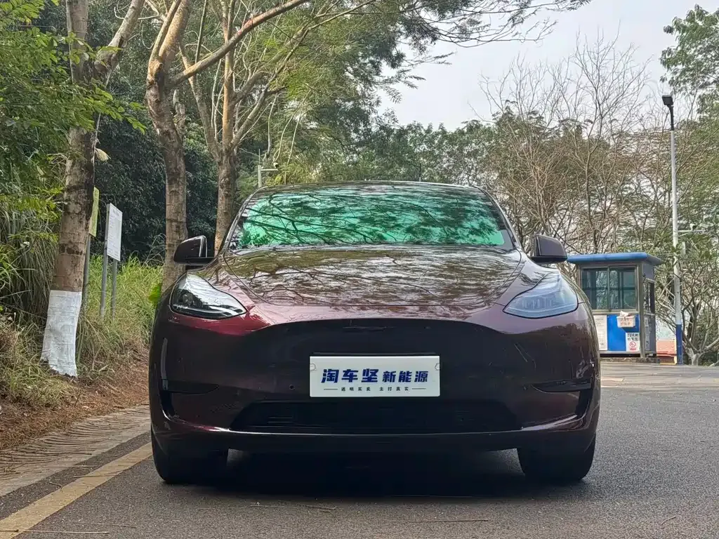 Tesla Model Y 2022 из CN, фото 8