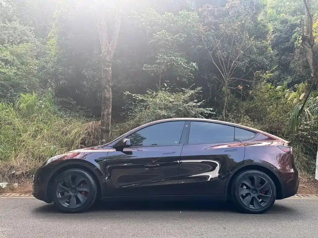 Tesla Model Y 2022 из CN, фото 3