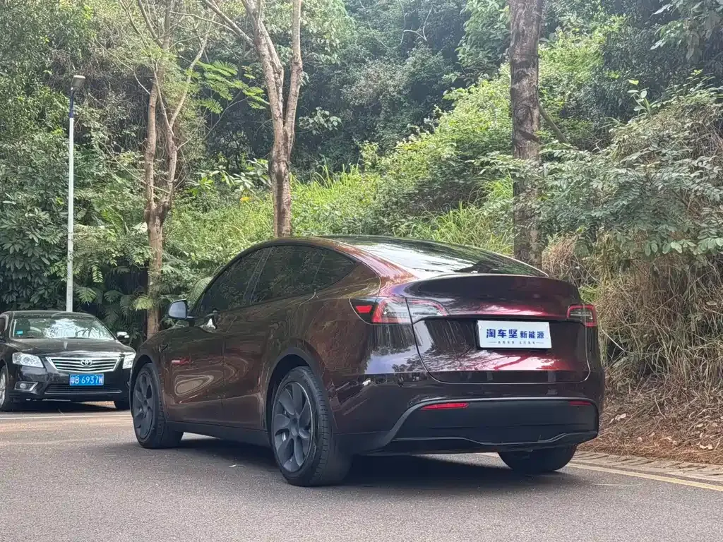Tesla Model Y 2022 из CN, фото 2