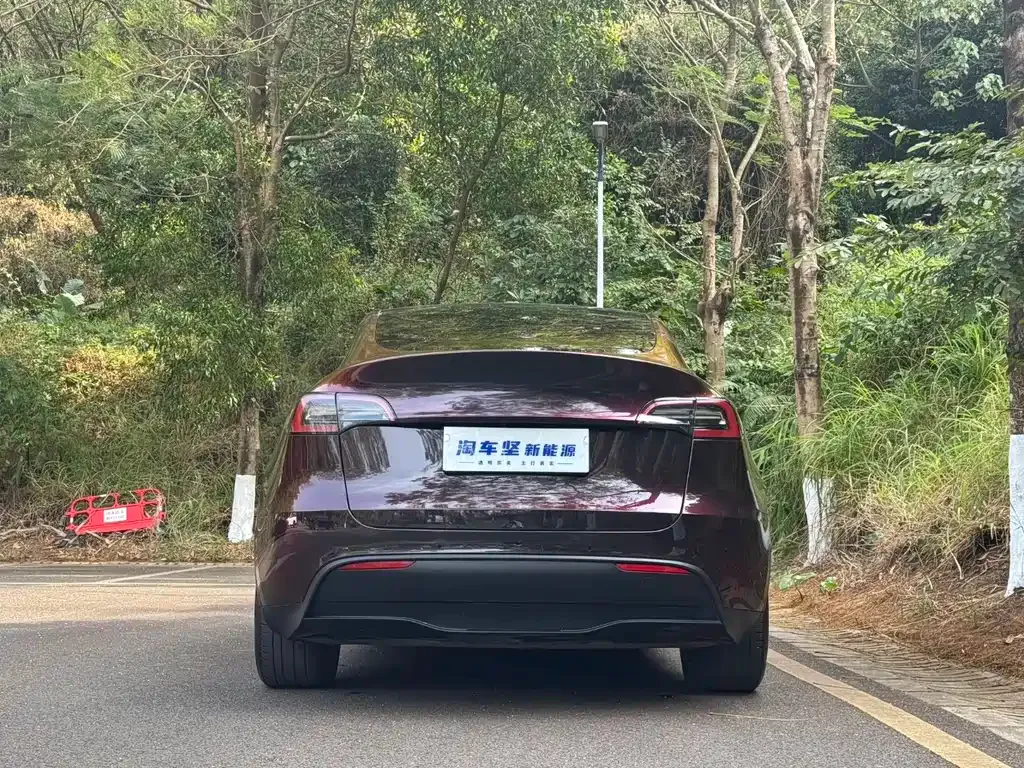 Tesla Model Y 2022 из CN, фото 4
