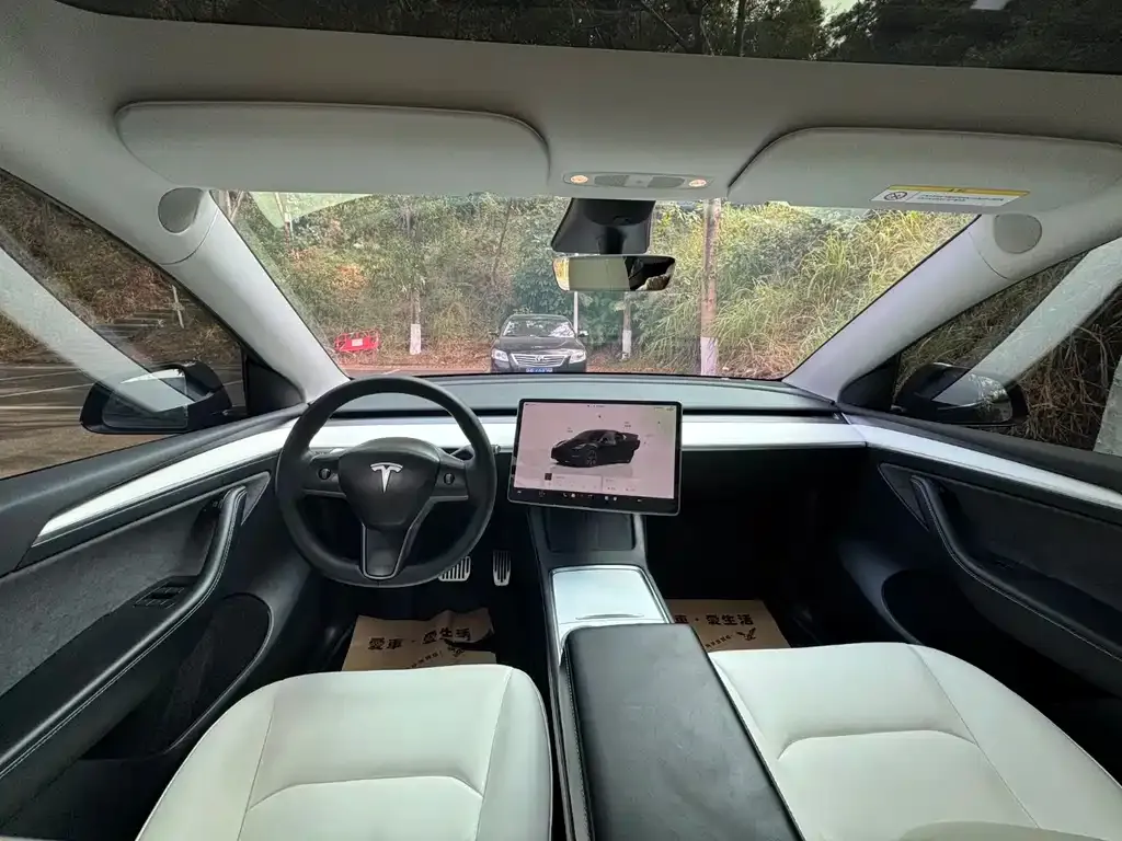 Tesla Model Y 2022 из CN, фото 7