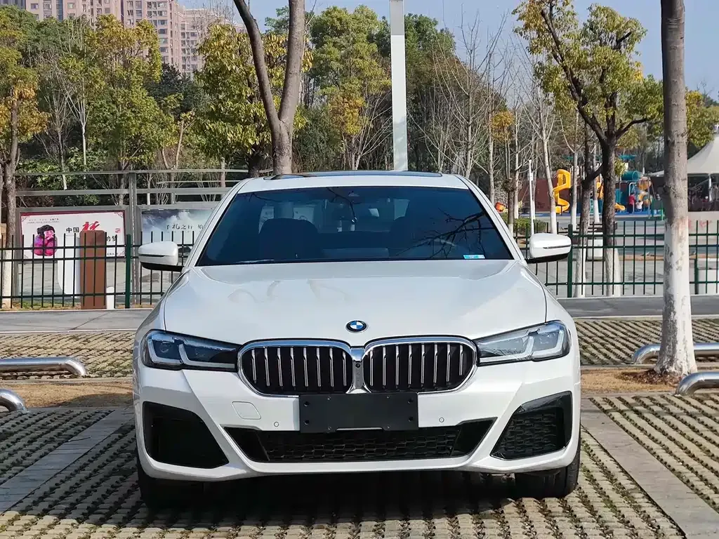 BMW 5 Series 2022 из CN, фото 1