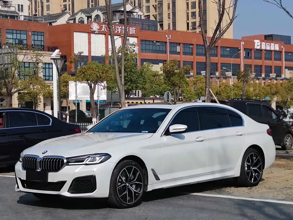 BMW 5 Series 2022 из CN, фото 9