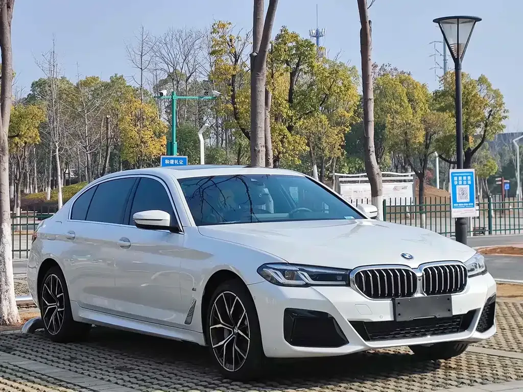 BMW 5 Series 2022 из CN, фото 8