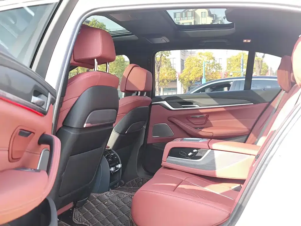 BMW 5 Series 2022 из CN, фото 4
