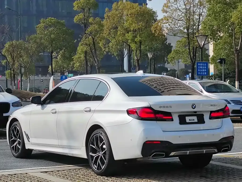 BMW 5 Series 2022 из CN, фото 7