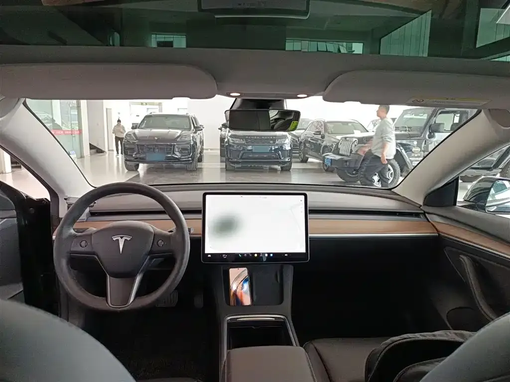 Tesla Model 3 2021 из CN, фото 5
