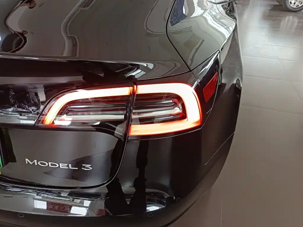 Tesla Model 3 2021 из CN, фото 9
