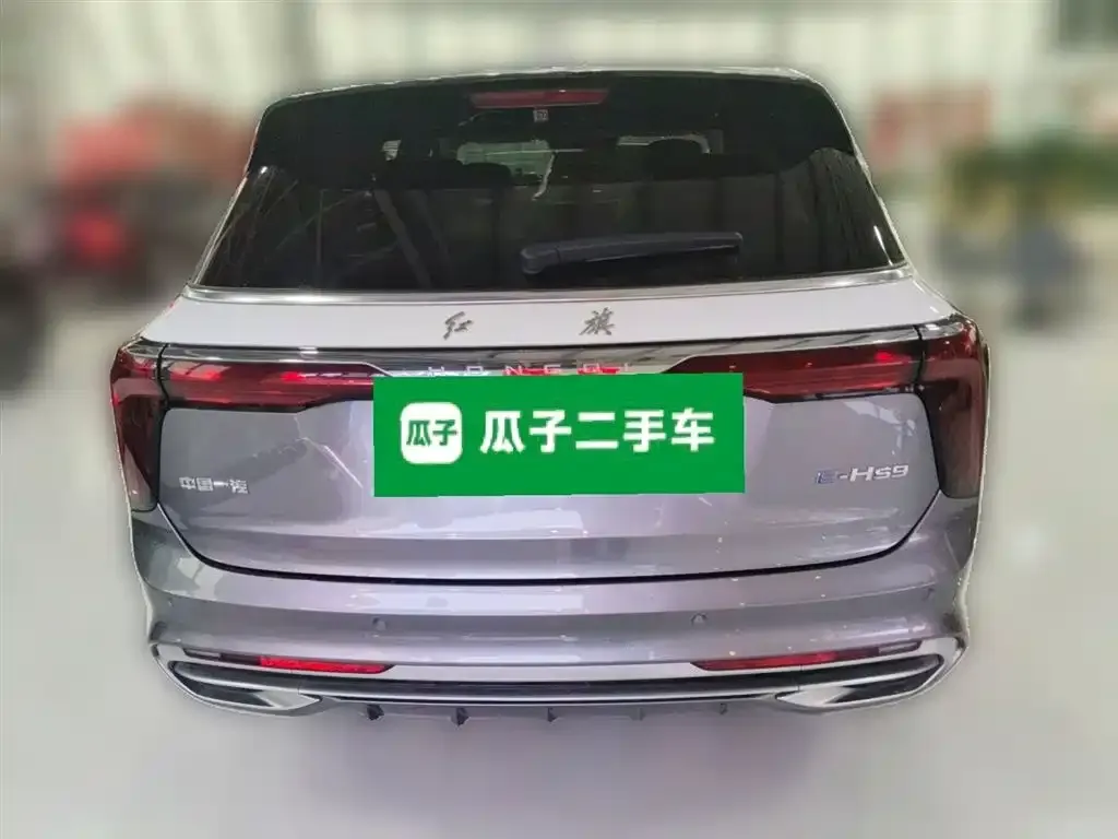 Hongqi E-HS9 2023 из CN, фото 3