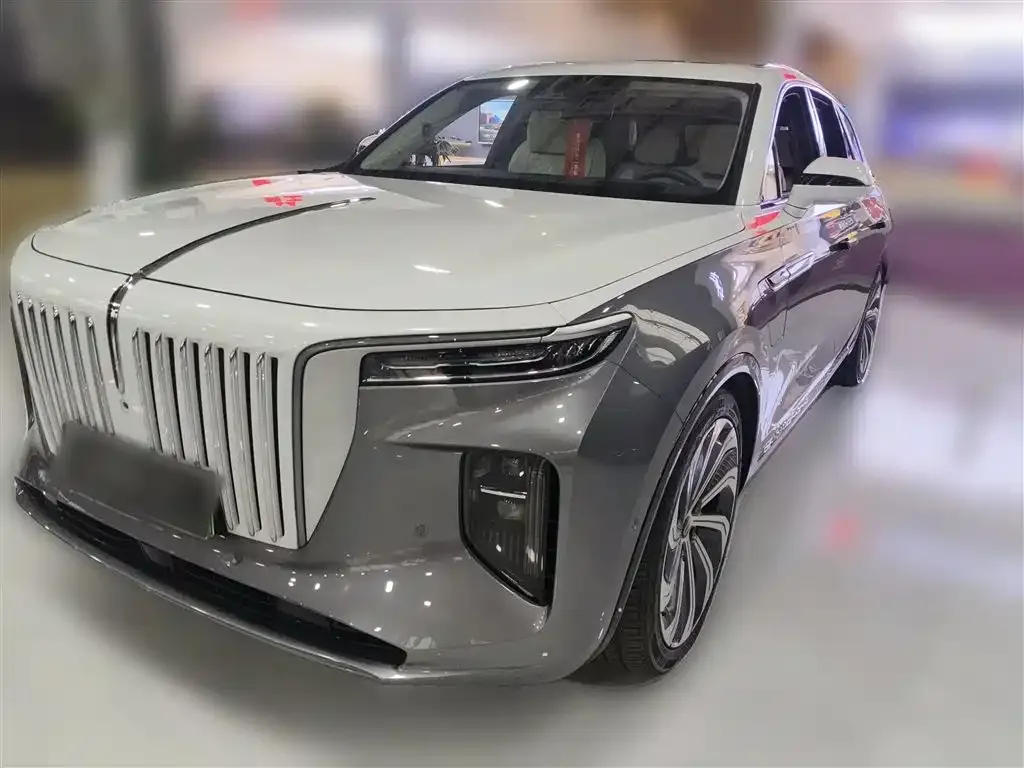 Hongqi E-HS9 2023 из CN, фото 4