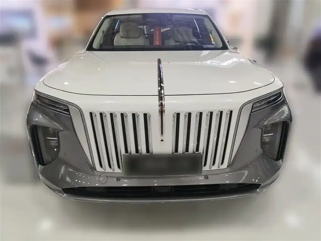 Hongqi E-HS9 2023 из CN, фото 2