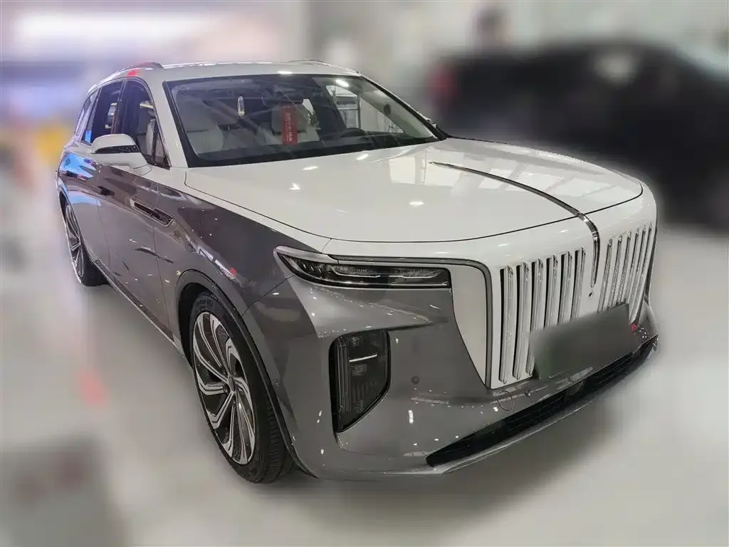 Hongqi E-HS9 2023 из CN, фото 6