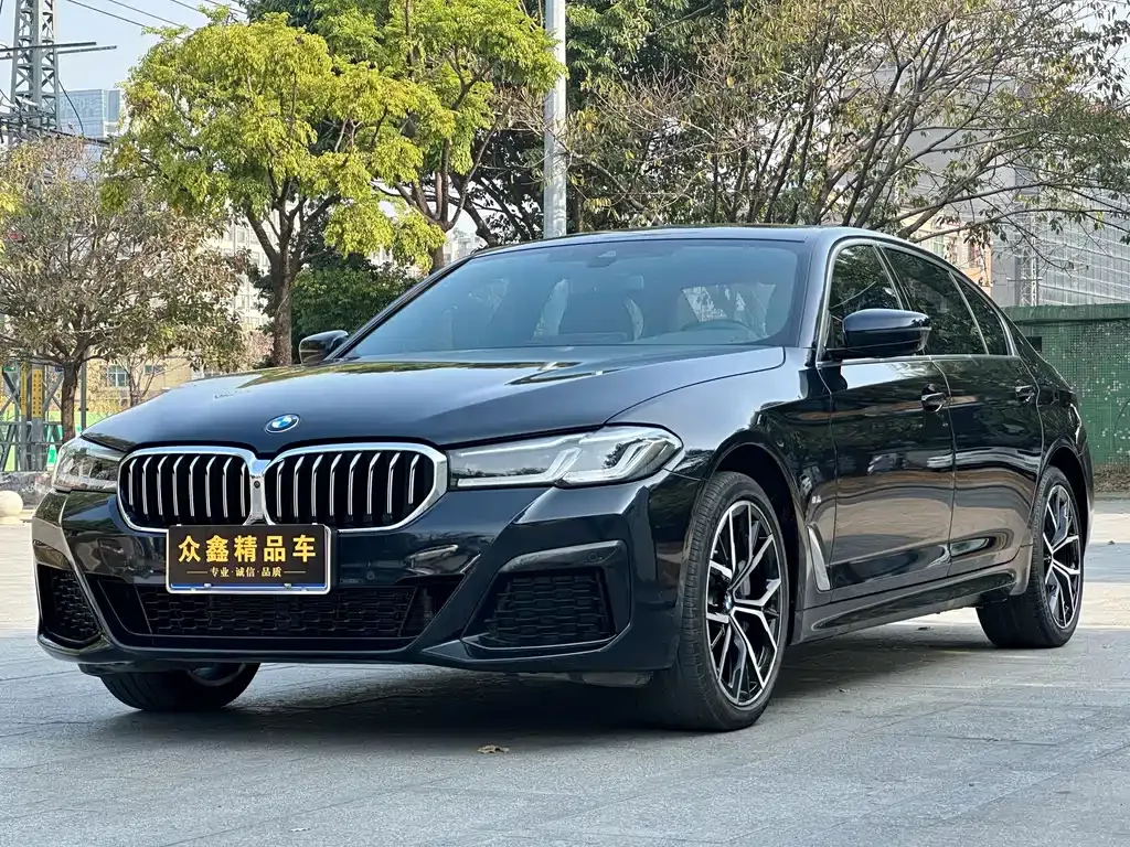BMW 5 Series 2022 из CN, фото 1